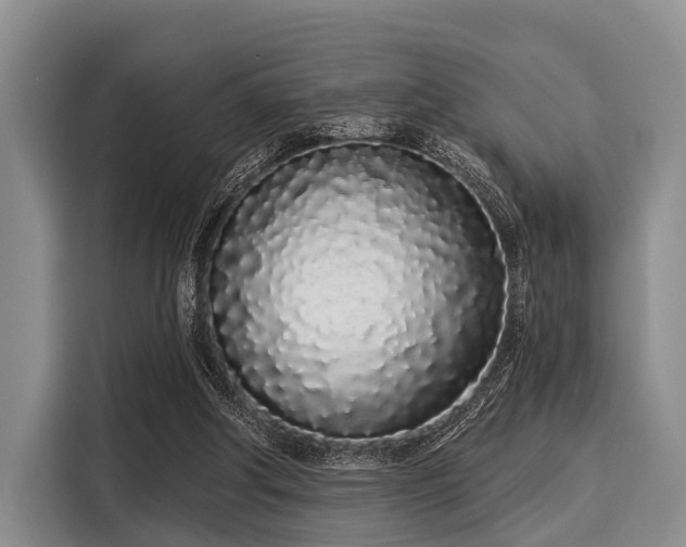 X0000116040202200911271205