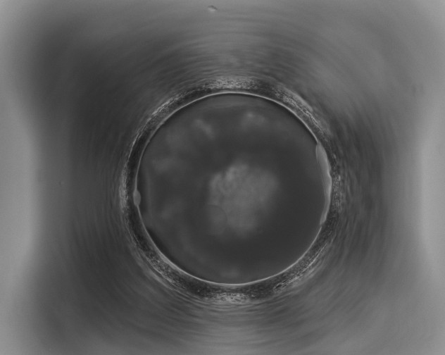 X0000116040203200911271205