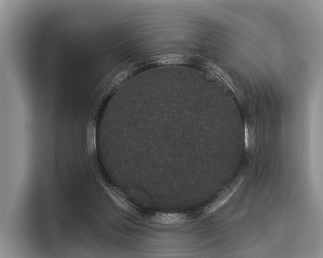 X0000116040205200911271205