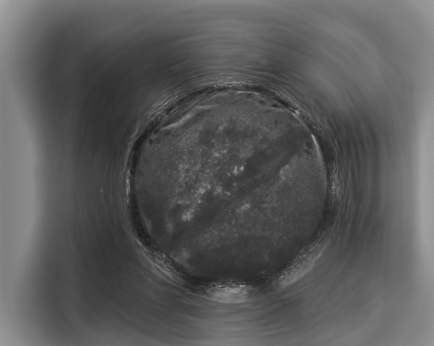 X0000116040206200911271205