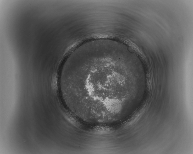 X0000116040207200911271205