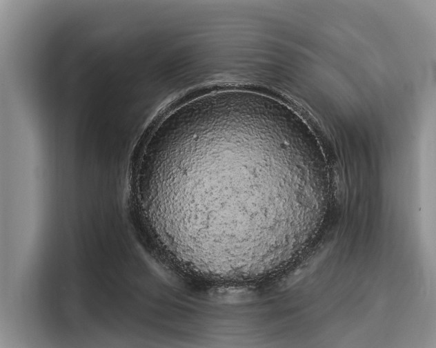 X0000116040208200911271205