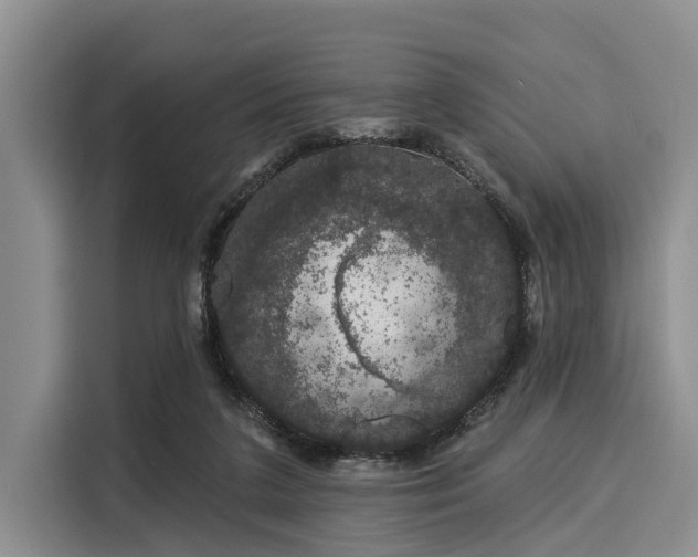 X0000116040211200911271204