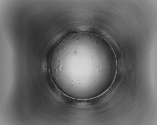 X0000116040212200911271204