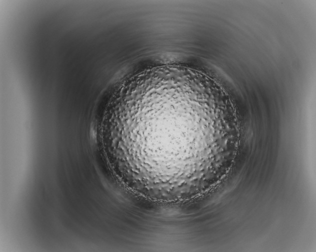 X0000116040214200911271204