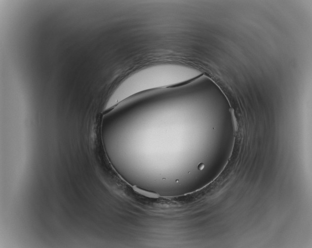 X0000116040215200911271204