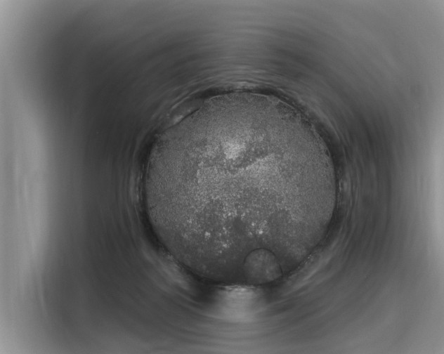 X0000116040218200911271204