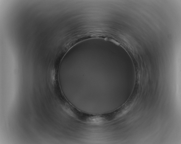 X0000116040219200911271204