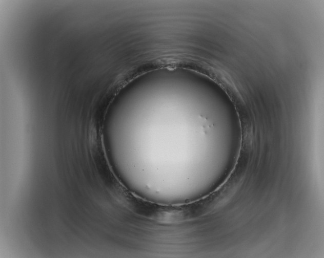 X0000116040220200911271204