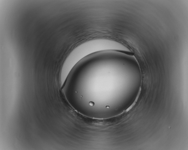 X0000116040221200911271204