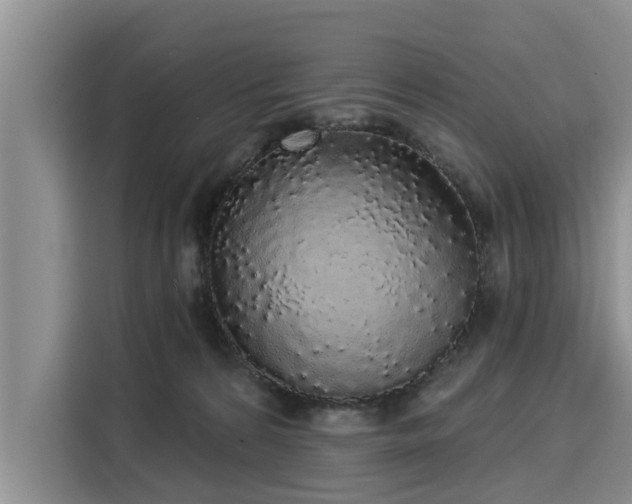 X0000116040224200911271204