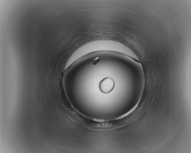 X0000116040225200911271204