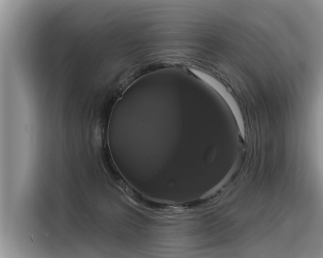 X0000116040227200911271204