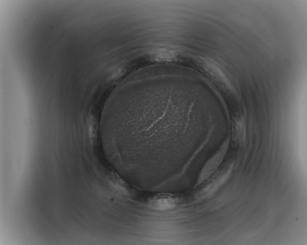 X0000116040228200911271204