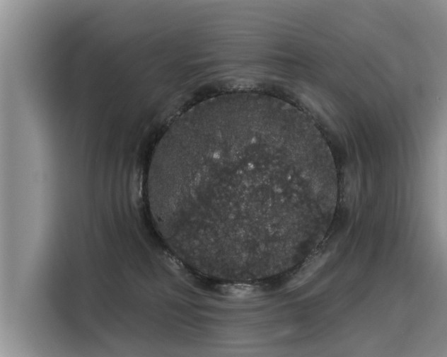 X0000116040230200911271204