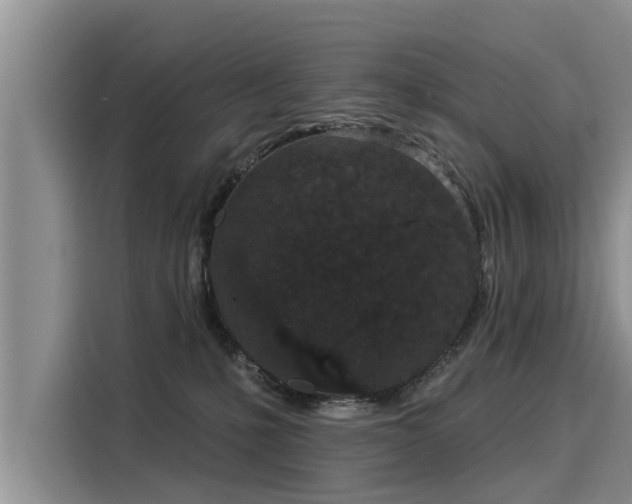 X0000116040231200911271204