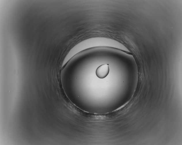 X0000116040233200911271204