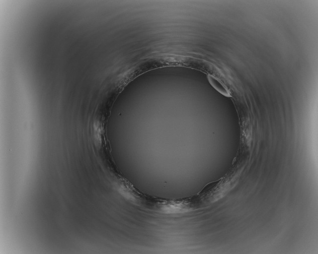 X0000116040235200911271204