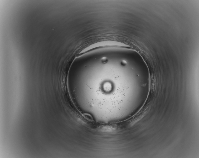 X0000116040236200911271204