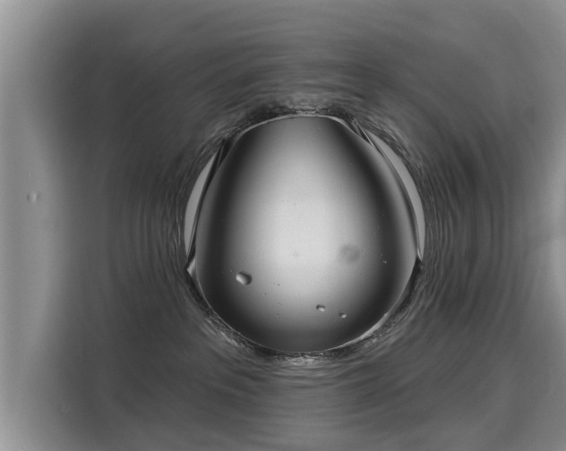 X0000116040237200911271204