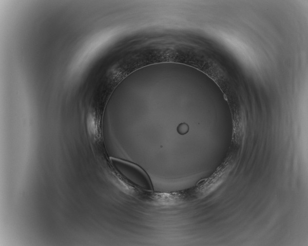 X0000116040239200911271204