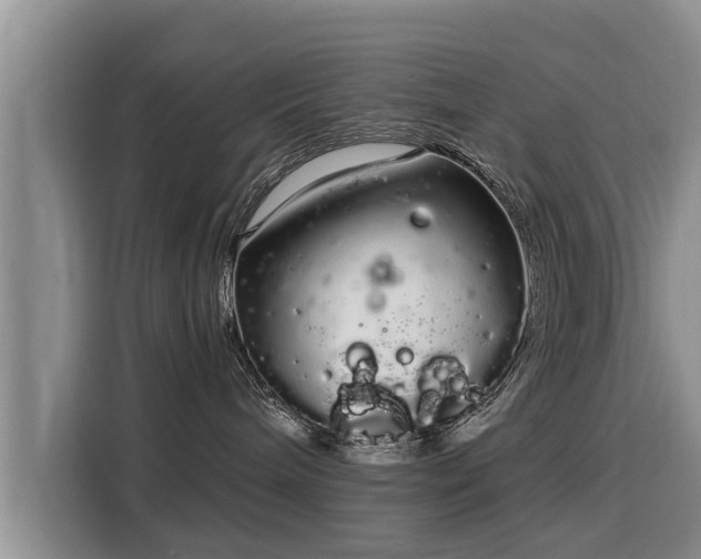 X0000116040240200911271204