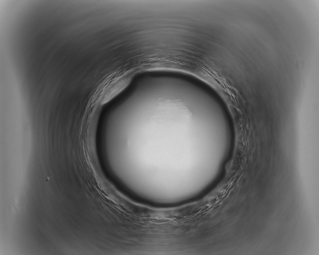 X0000116040241200911271203