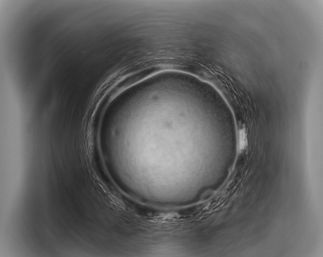 X0000116040243200911271203