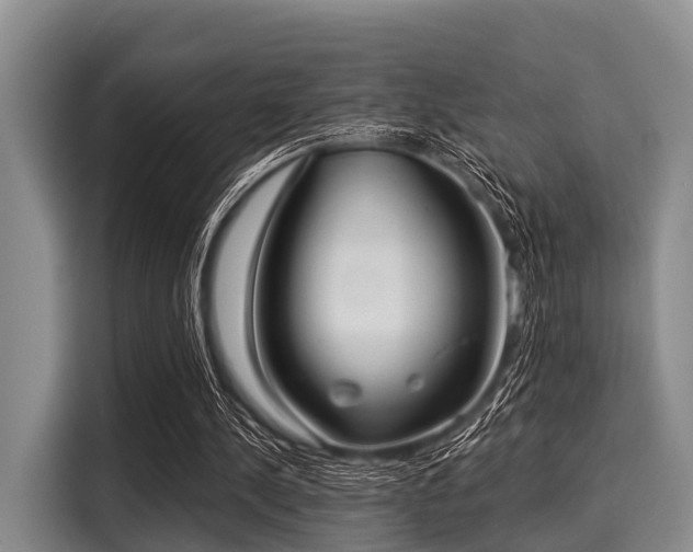 X0000116040244200911271203