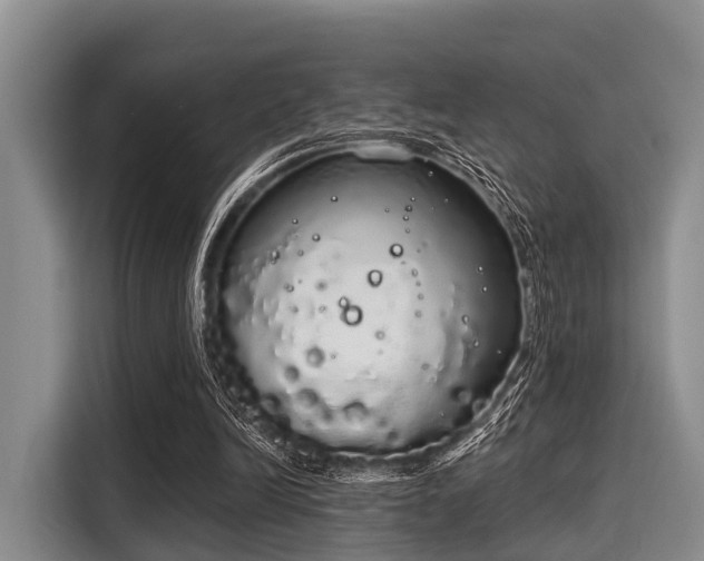 X0000116040246200911271204