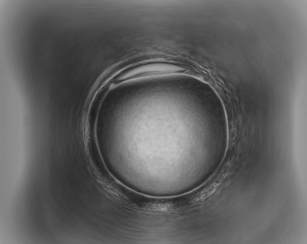 X0000116040247200911271204