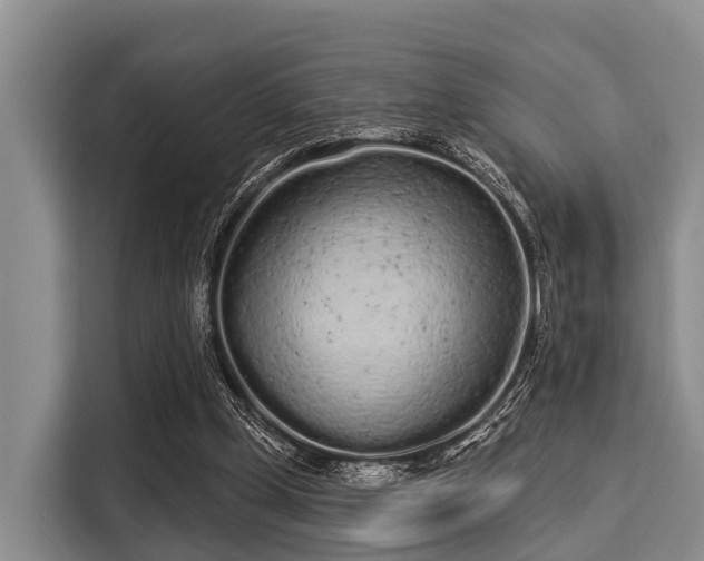 X0000116040249200911271204