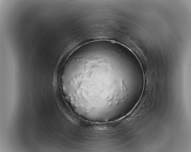 X0000116040250200911271204