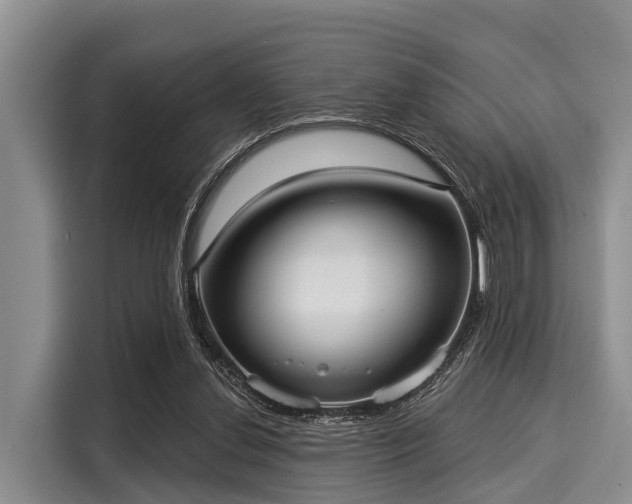 X0000116040252200911271204