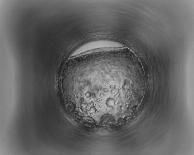 X0000116040255200911271204