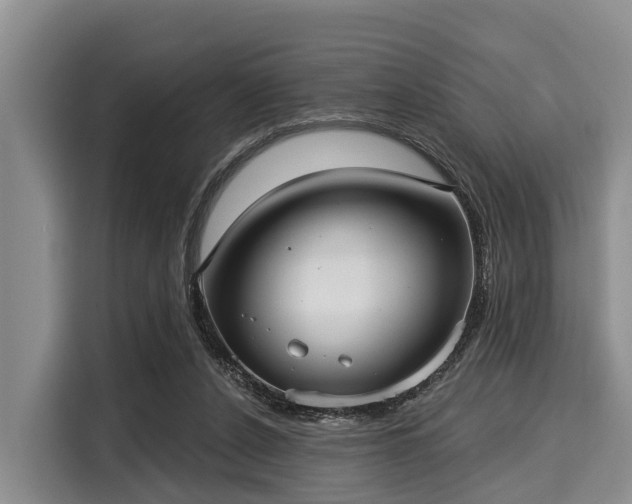 X0000116040256200911271204