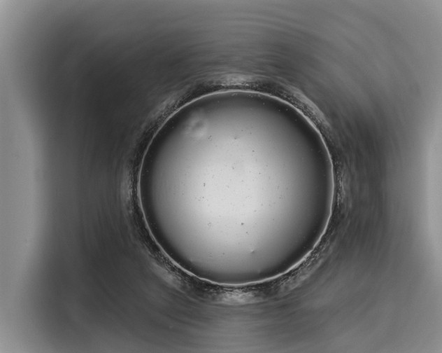 X0000116040257200911271204