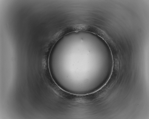 X0000116040259200911271204