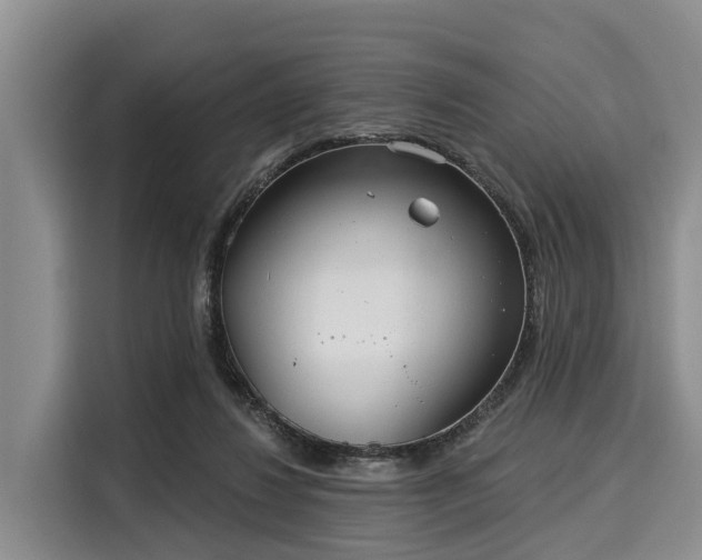 X0000116040260200911271204