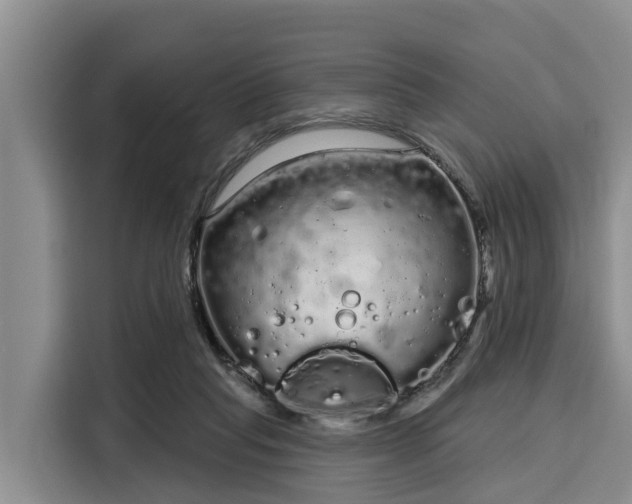 X0000116040261200911271204