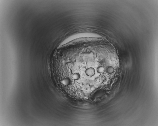 X0000116040267200911271204