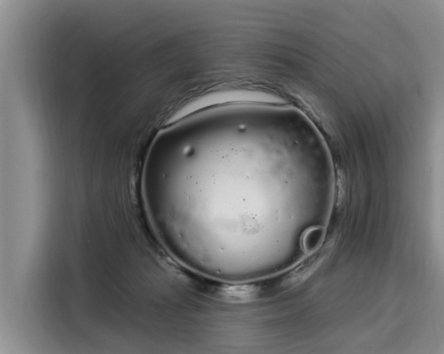 X0000116040269200911271204