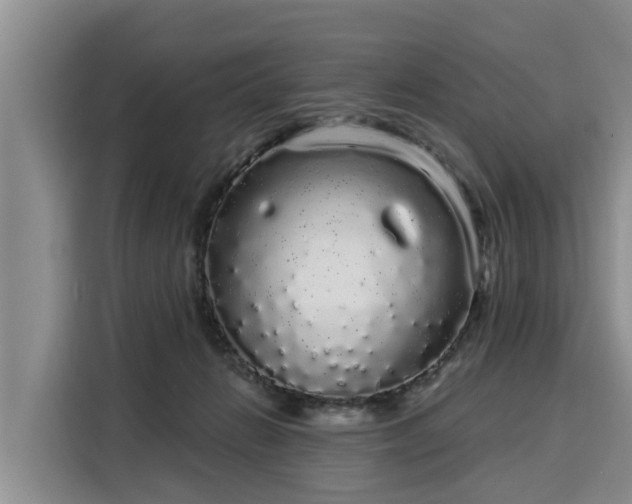 X0000116040270200911271204