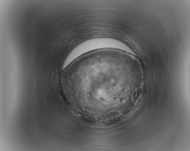 X0000116040277200911271204