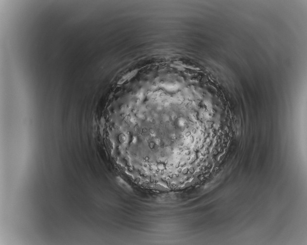 X0000116040279200911271204