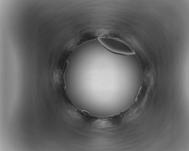 X0000116040280200911271204