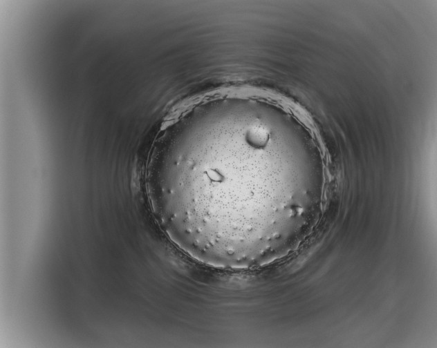 X0000116040282200911271204