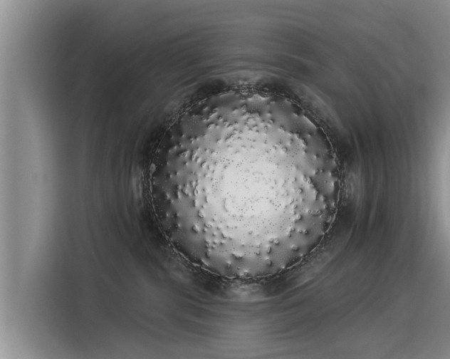 X0000116040283200911271204