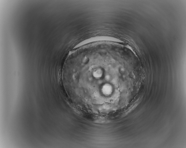 X0000116040285200911271204