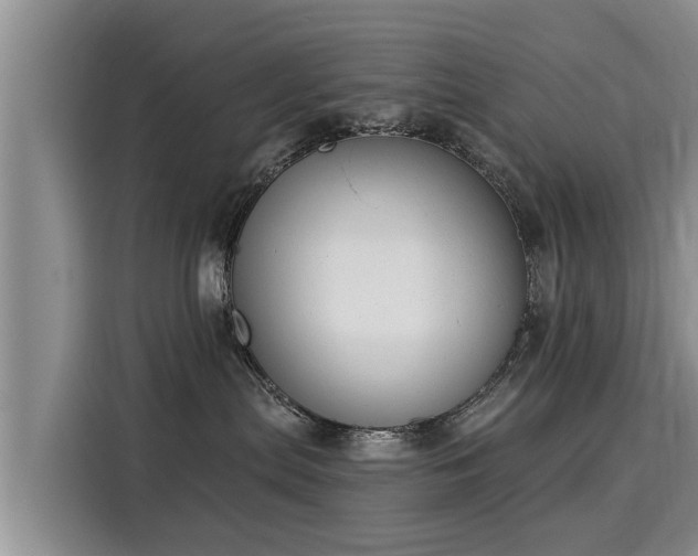 X0000116040287200911271204